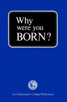 Why Were You BORN?